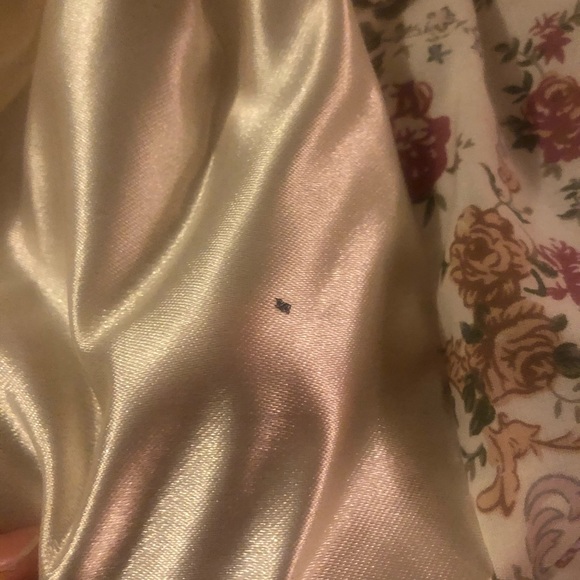 Anco Bear - Picture 2 of 8